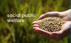 �±�GG�������漣ƽ̨